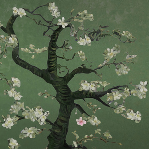 天天撸福利导航
