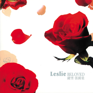 天天撸福利导航
