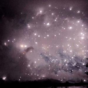 天天撸福利导航
