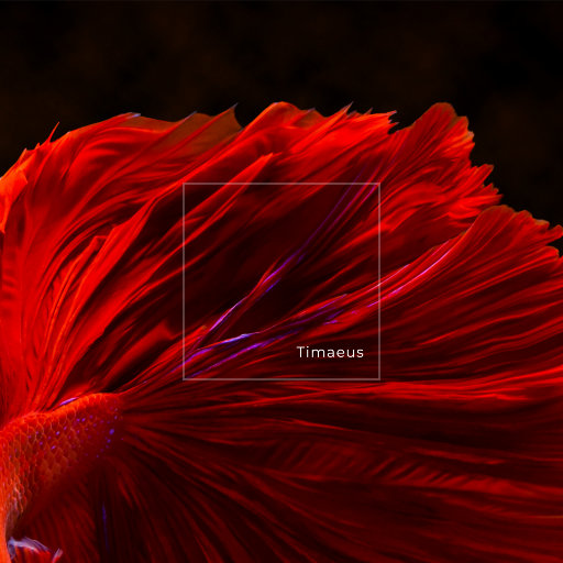 天天撸福利导航
