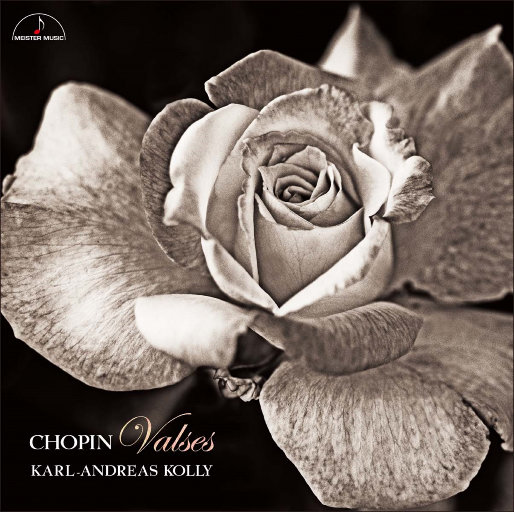 天天撸福利导航
